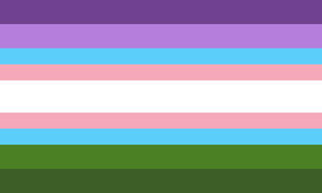 A flag with 9 horizontal stripes. The colours from top to bottom go; dark purple, purple, blue, pink, white, pink, blue, green, dark green. The blue & pink stripes are thinner, and the white one is thicker.